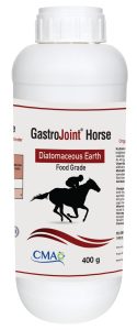 GastroJoint