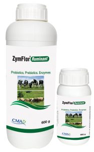 ZymFlor® Ruminant